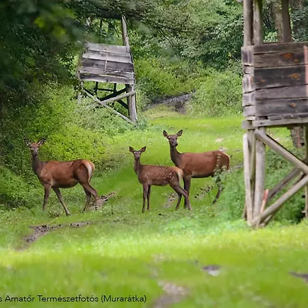 Lipics Part * Muraratka