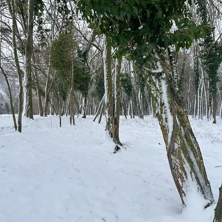 דירה Lipics Part *