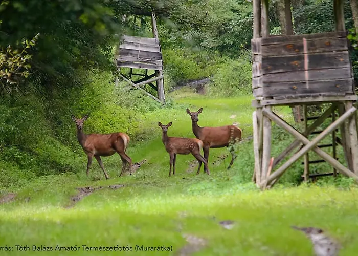 Lipics Part * Muraratka