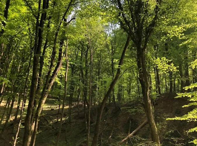 Lipics Part דירה Muraratka