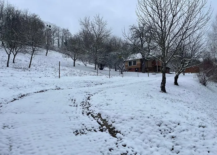 Lipics Part דירה