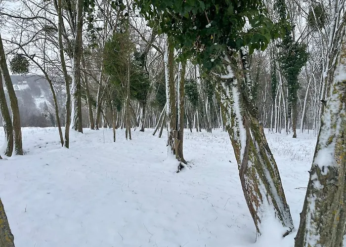 Appartement Lipics Part *